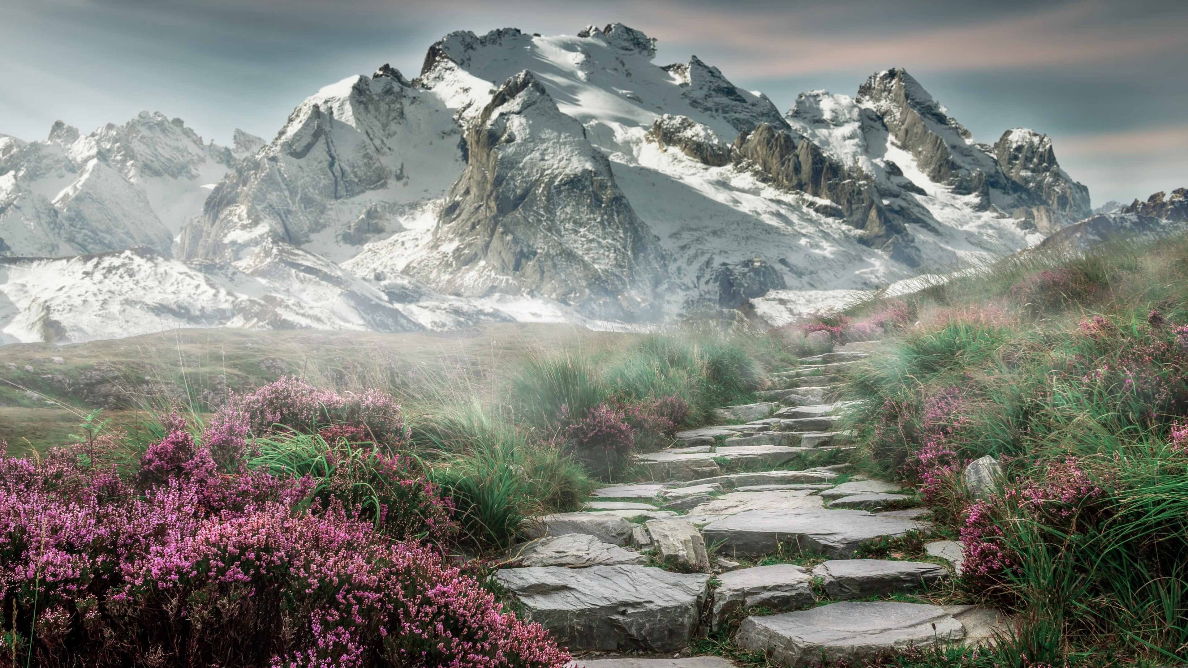 “新都兴城垒球赛:速度与精准,谁能笑到最后?”