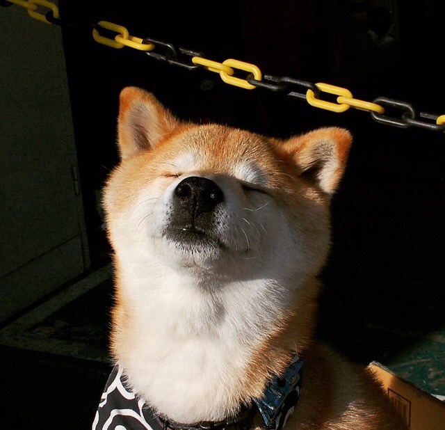 中国男篮培养复合型球员提升战术弹性,中国男篮复古球衣