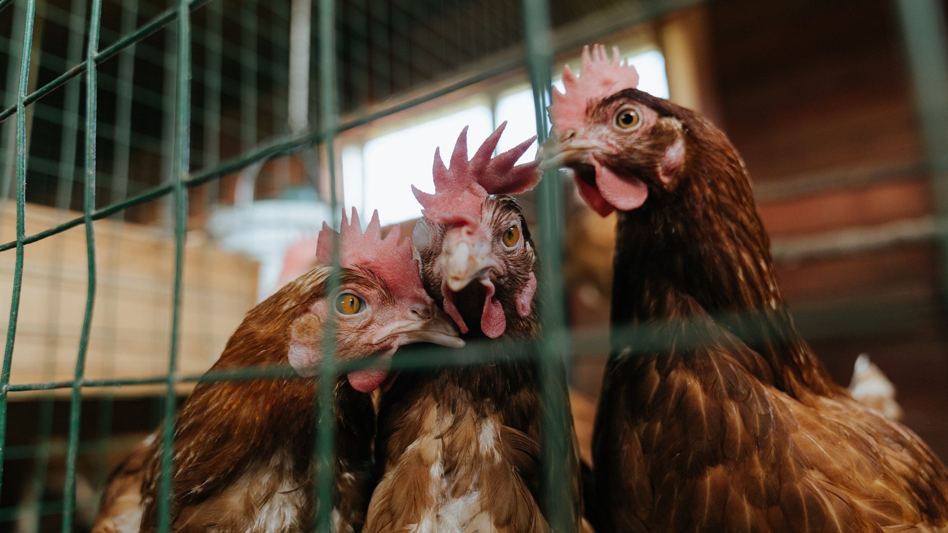 中超联赛U23国足惨败 数据回顾引发争议,2021中超u23规则