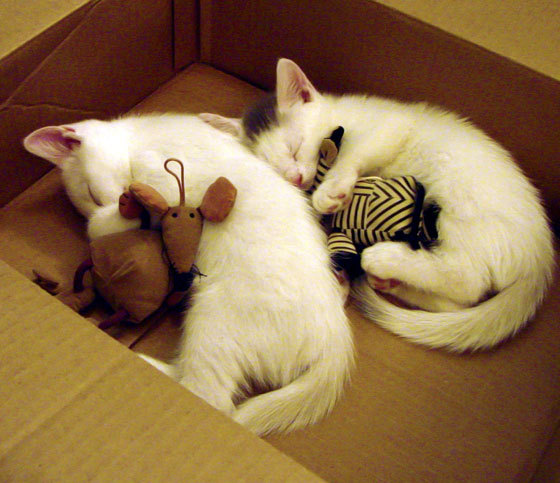 JiuyouAPP下载-中路直塞次数减少是否因对方防守密度提升，直塞最强的中场