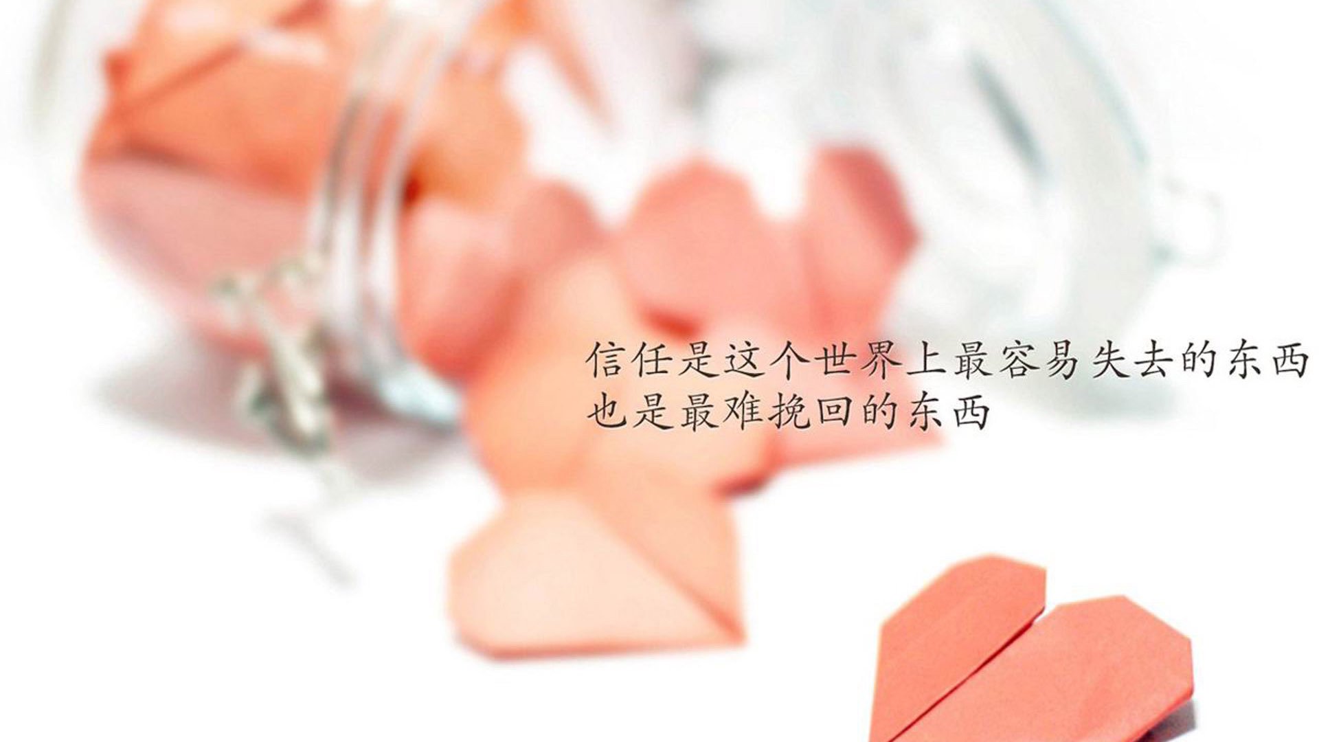 九游用户空间-亚冠焦点多地掀起冬训热潮，亚冠东亚区比赛地点