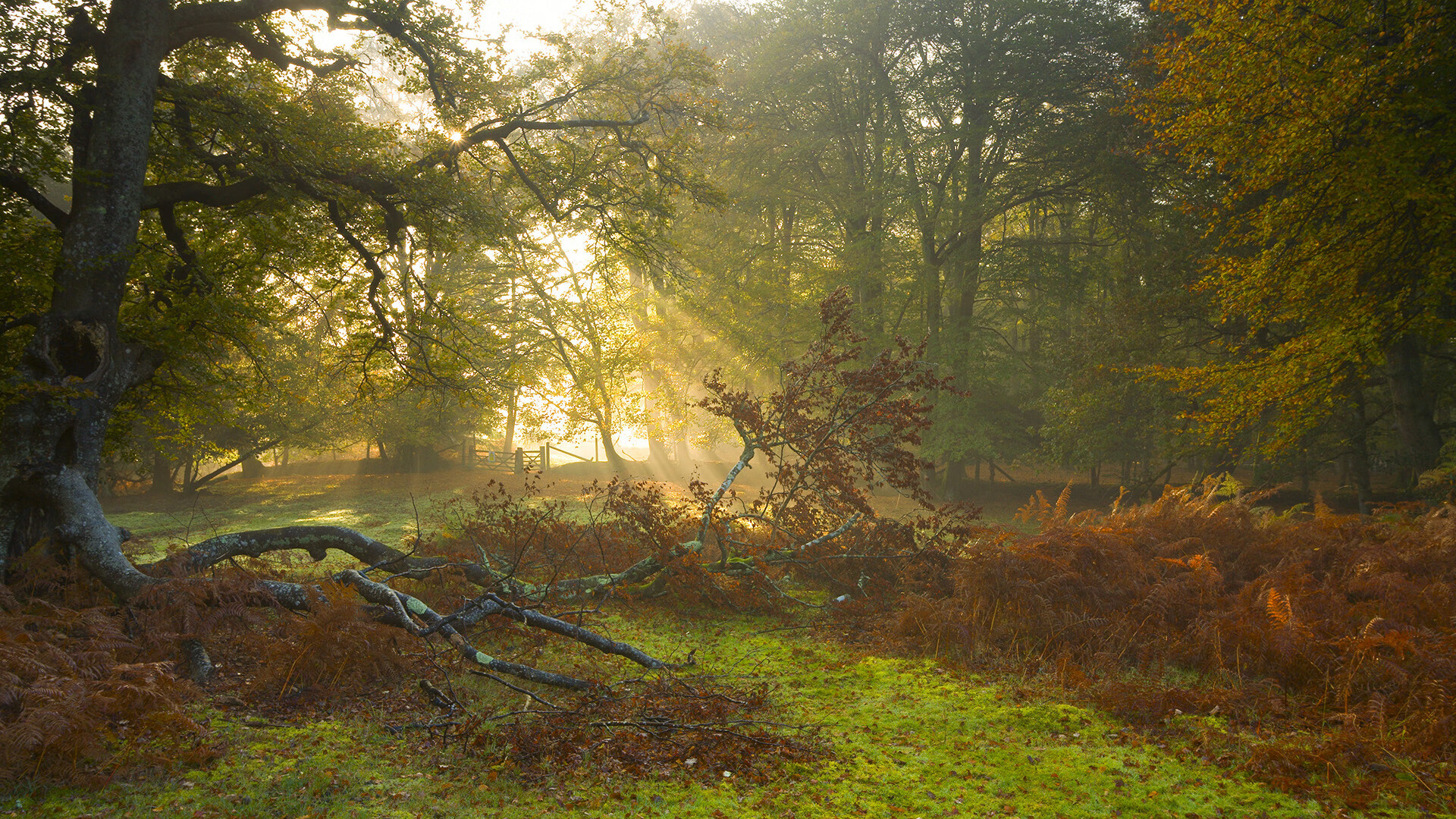 Jiuyou-新加坡队表现抢眼，国际乒联混合团体世界杯精彩瞬间，新加坡乒乓球比赛最新情况