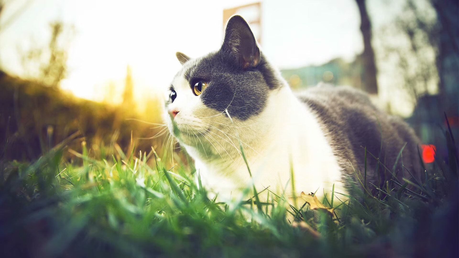 九游-足球青训困局待解专家呼吁系统改革，足球青训是干什么的