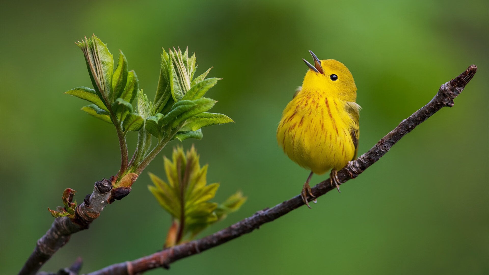 九游网页版官网-中国足球青训体系逐步实现一体化管理，中国足球青训大纲内容