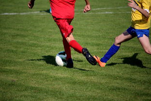 九游登录入口-中小学篮球教研活动不断创新教学方法提升训练效果，篮球教研活动总结