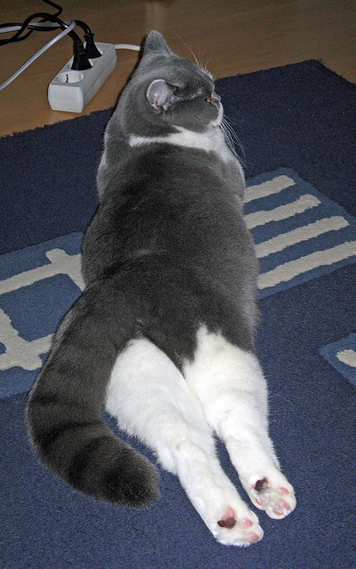 亚洲国家不断突破,冲击世界杯八强成为时代新趋势,世界杯2022亚洲预选赛八强