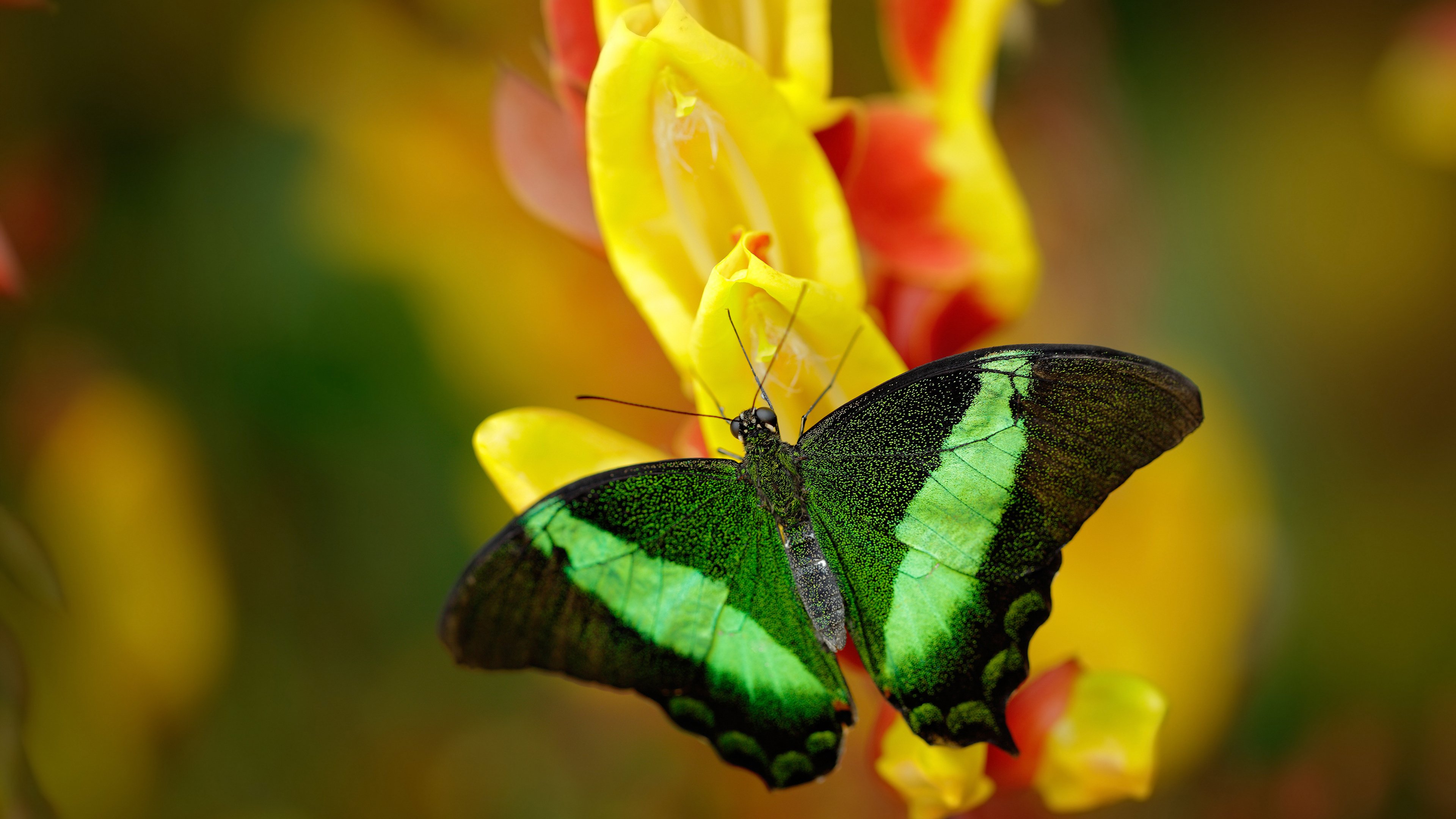 全球体育产业新趋势 数字化发展加速,2021全球体育数字化转型研讨会