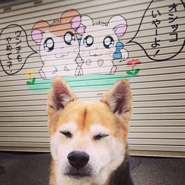 凯尔特人队员进行高强度冲刺训练,凯尔特人队员进行高强度冲刺训练视频