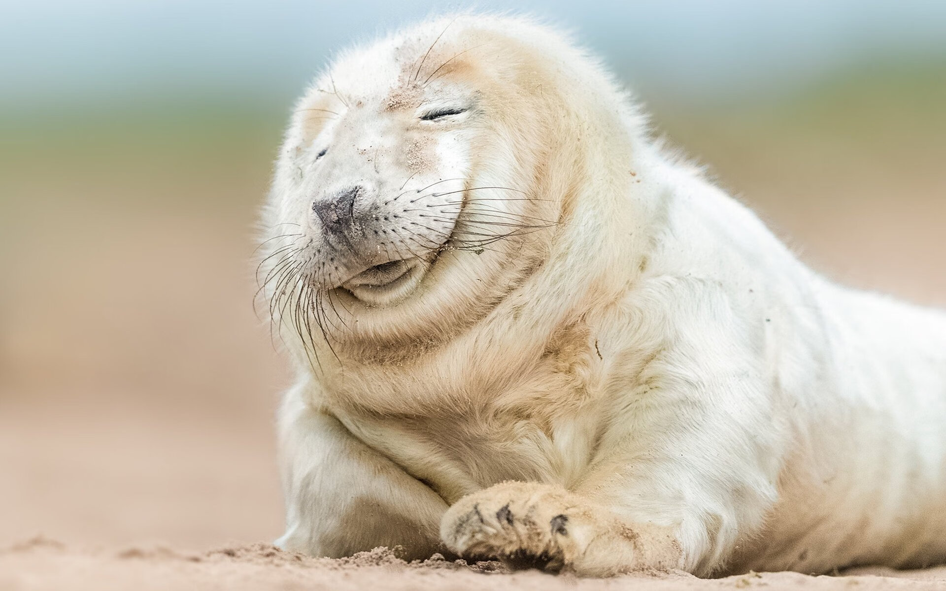 卡萨斯冲刺阶段技压群雄,卡萨斯弱什么