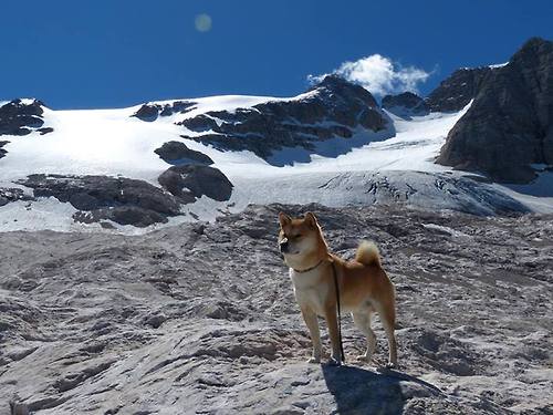 库里关键三分勇士终结连败，库里三分夺冠
