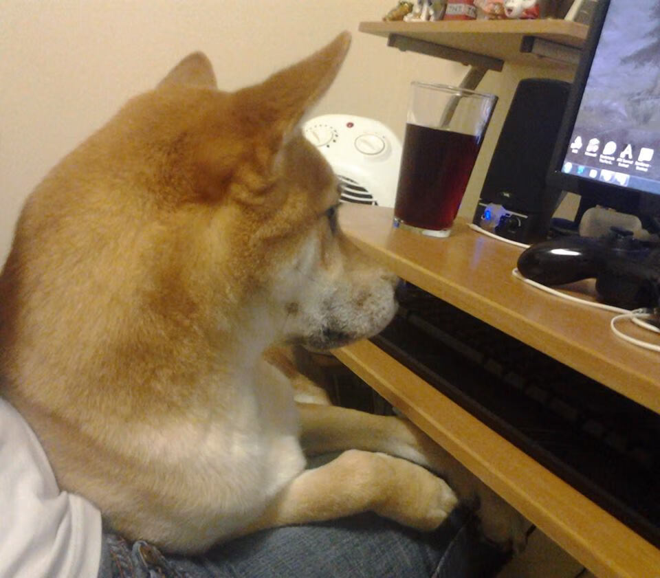 弗朗索瓦·霍尔茨豪伊泽:他的战术视野和执行力让南非队攻防两端稳如磐石