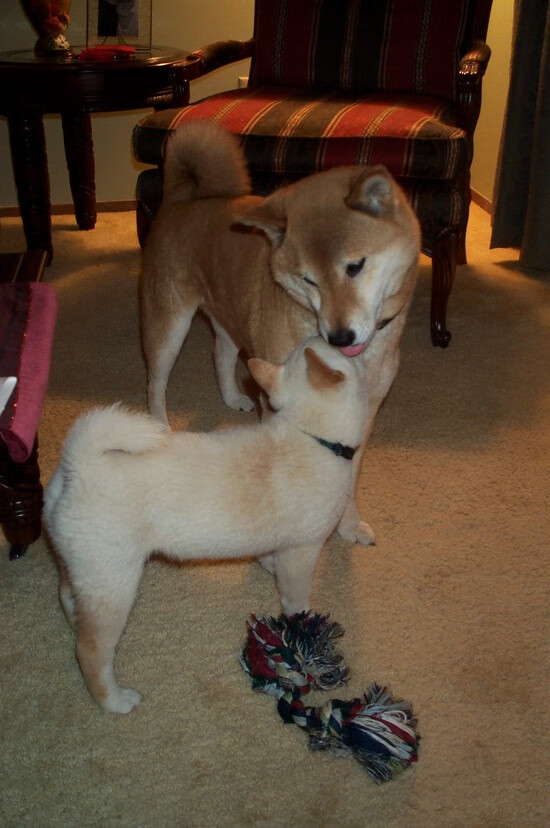 快船双星合体伦纳德搭档乔治杀入榜眼,nba快船球员伦纳德