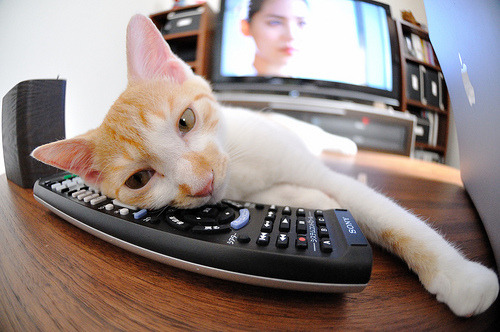 法国青训系统逐步升级,提供更多跨国发展机会,法国青年足球队