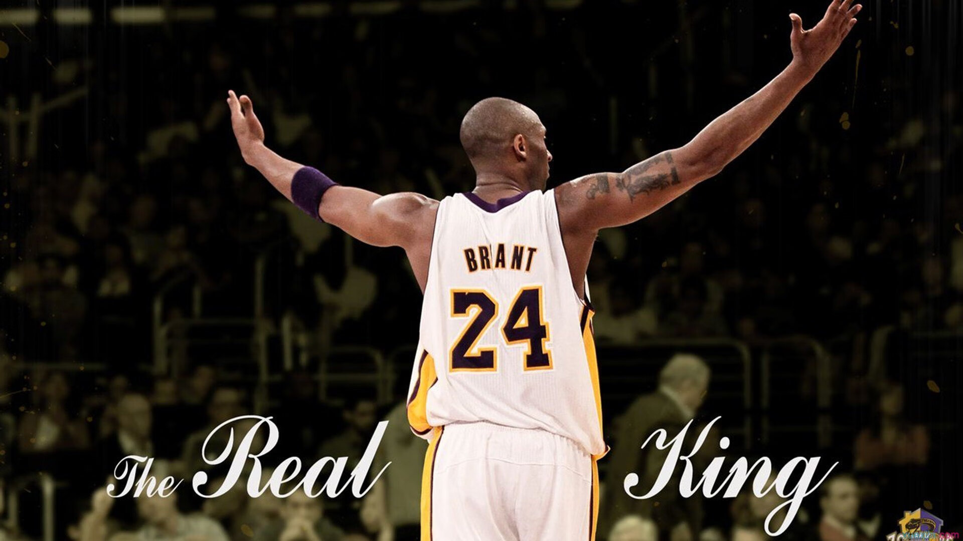 美洲杯超级个人秀：场上最闪耀的星光，美洲杯个人奖项