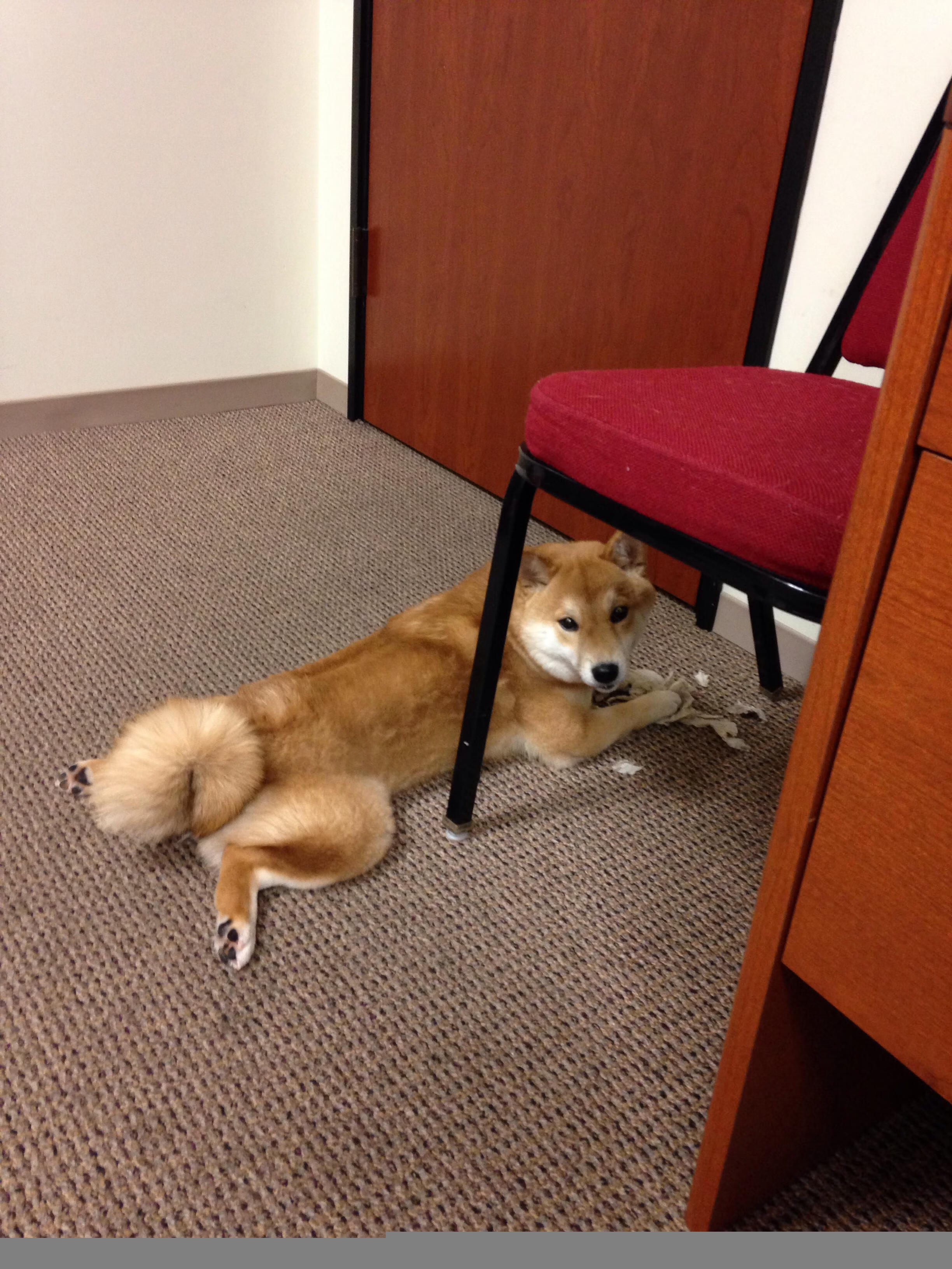 英超激烈争夺，几支豪门角逐榜首宝座